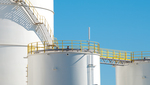 Industria_ingrasamintelor_3