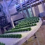 Corrosion prevention in food industries